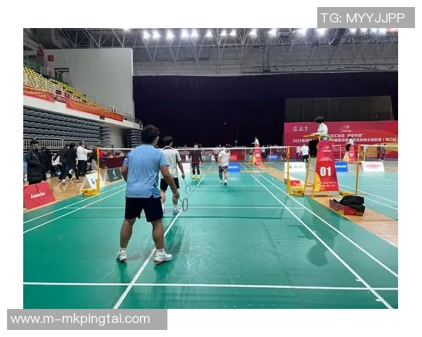 实时新闻深圳羽毛球队实力解析聚焦羽毛球运动的崛起与发展